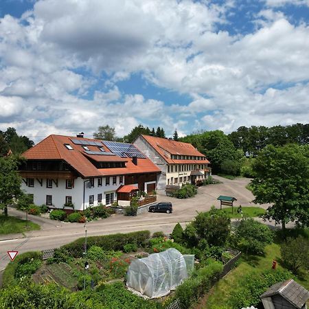 Haus Schlageter Apartment Dachsberg im Schwarzwald Exterior foto