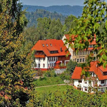 Haus Schlageter Apartment Dachsberg im Schwarzwald Exterior foto