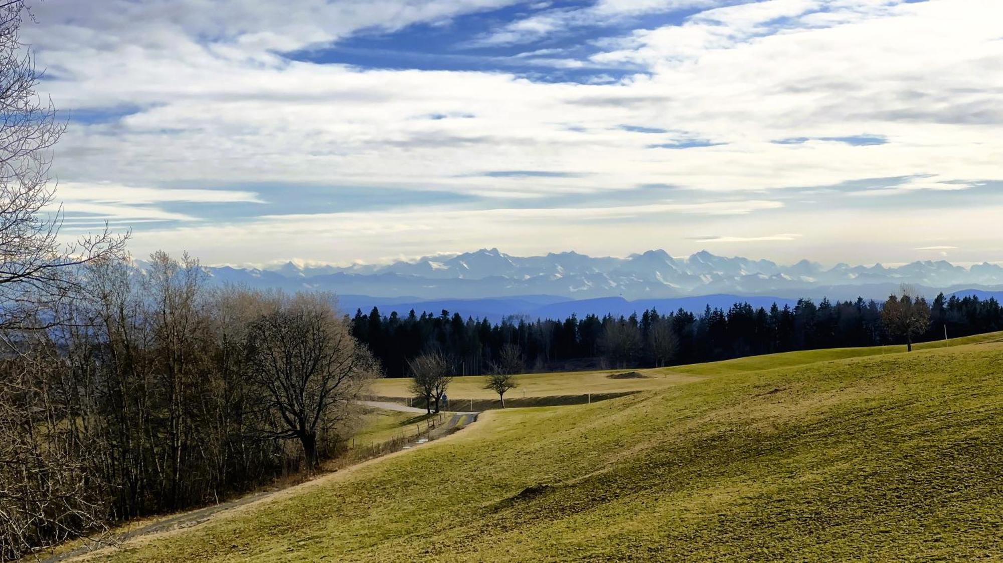 Haus Schlageter Apartment Dachsberg im Schwarzwald Exterior foto