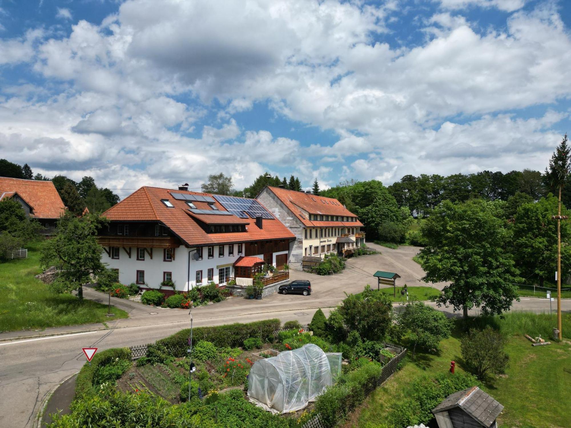 Haus Schlageter Apartment Dachsberg im Schwarzwald Exterior foto