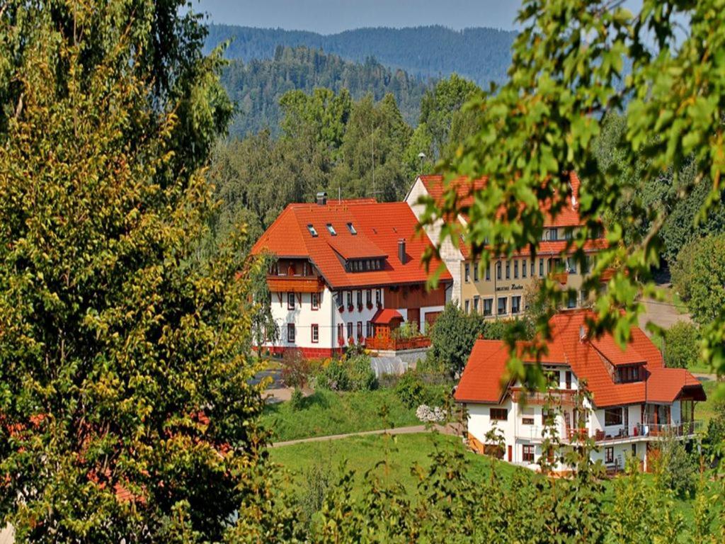 Haus Schlageter Apartment Dachsberg im Schwarzwald Exterior foto